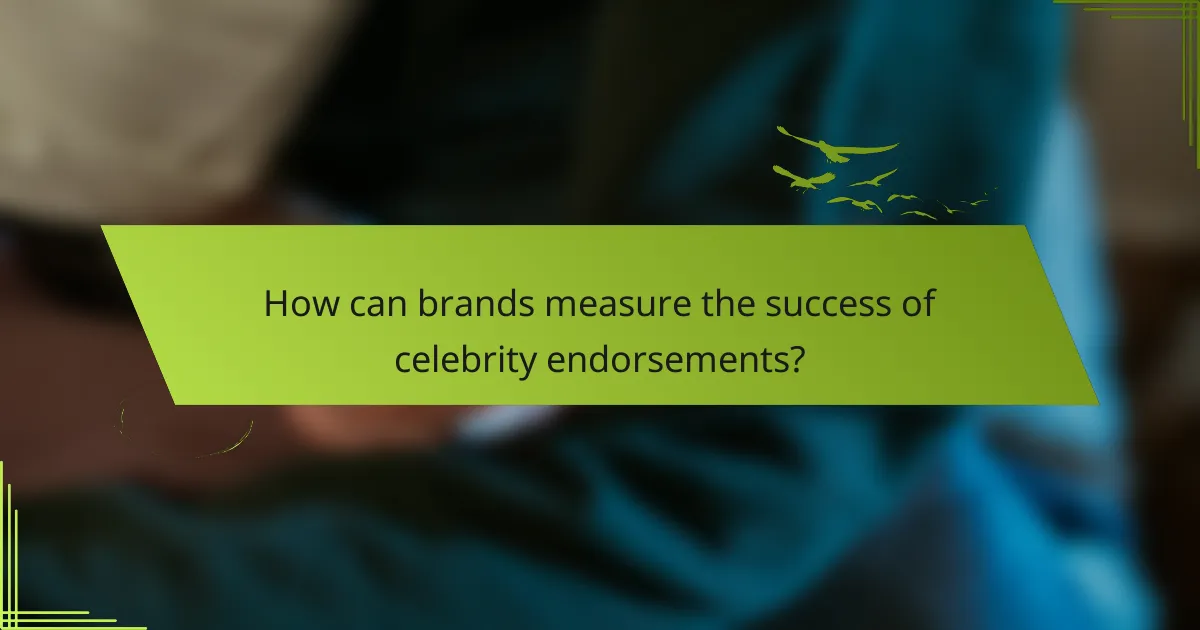 How can brands measure the success of celebrity endorsements?