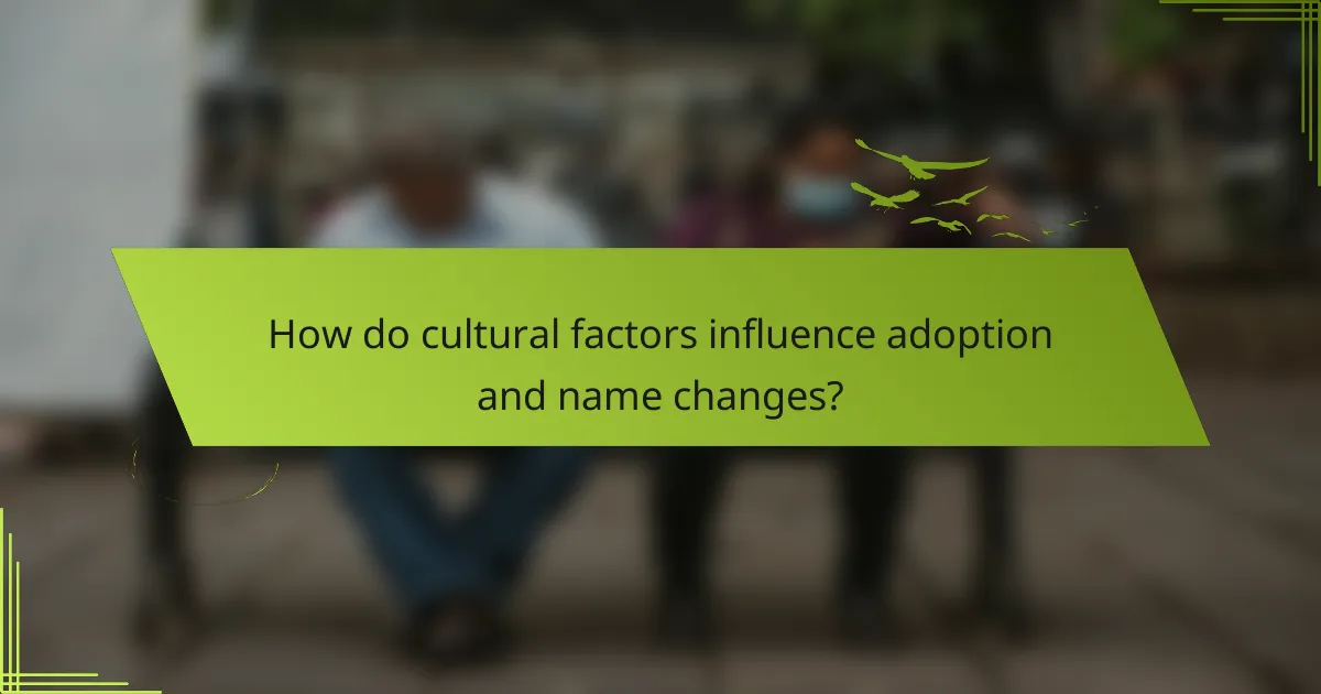 How do cultural factors influence adoption and name changes?