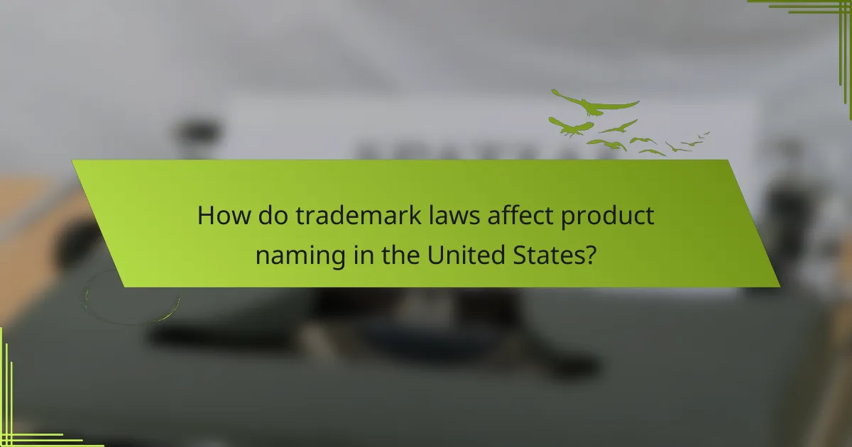 How do trademark laws affect product naming in the United States?
