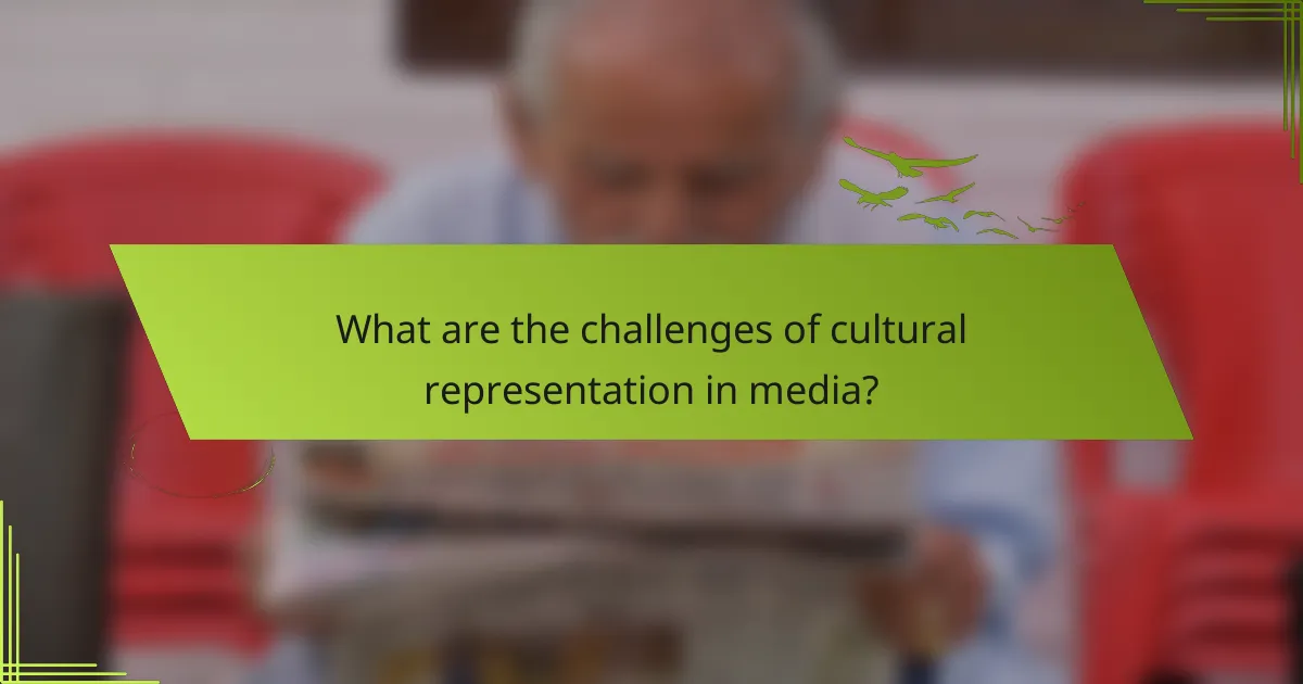 What are the challenges of cultural representation in media?