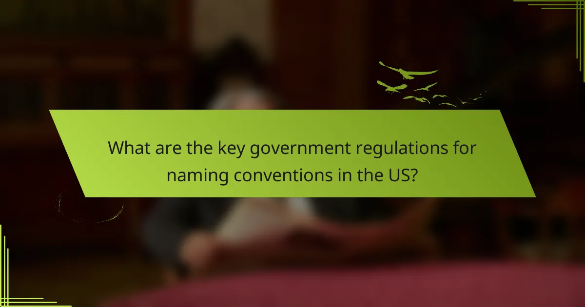 What are the key government regulations for naming conventions in the US?