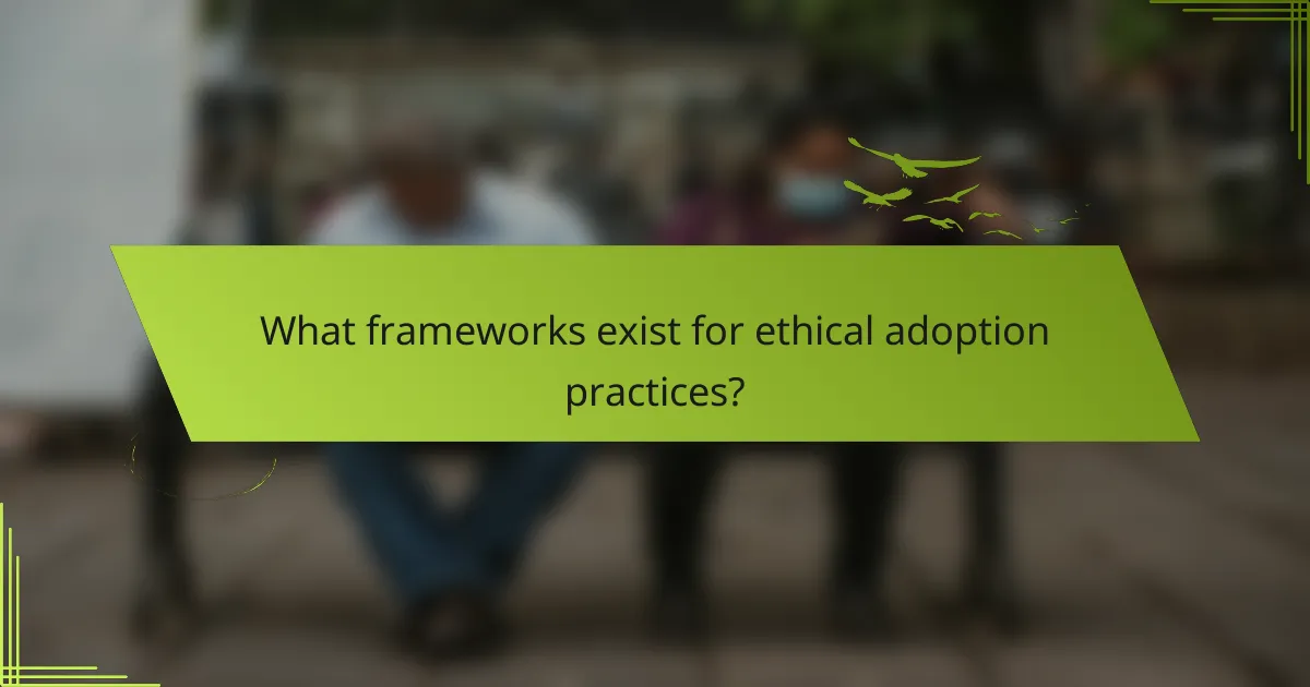 What frameworks exist for ethical adoption practices?