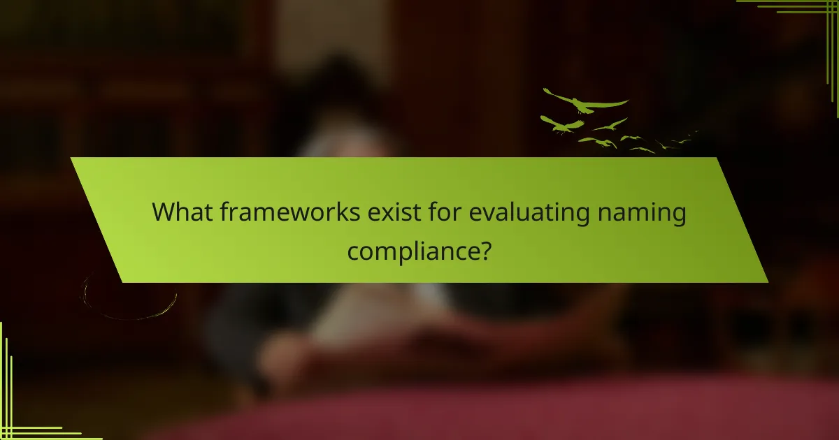 What frameworks exist for evaluating naming compliance?