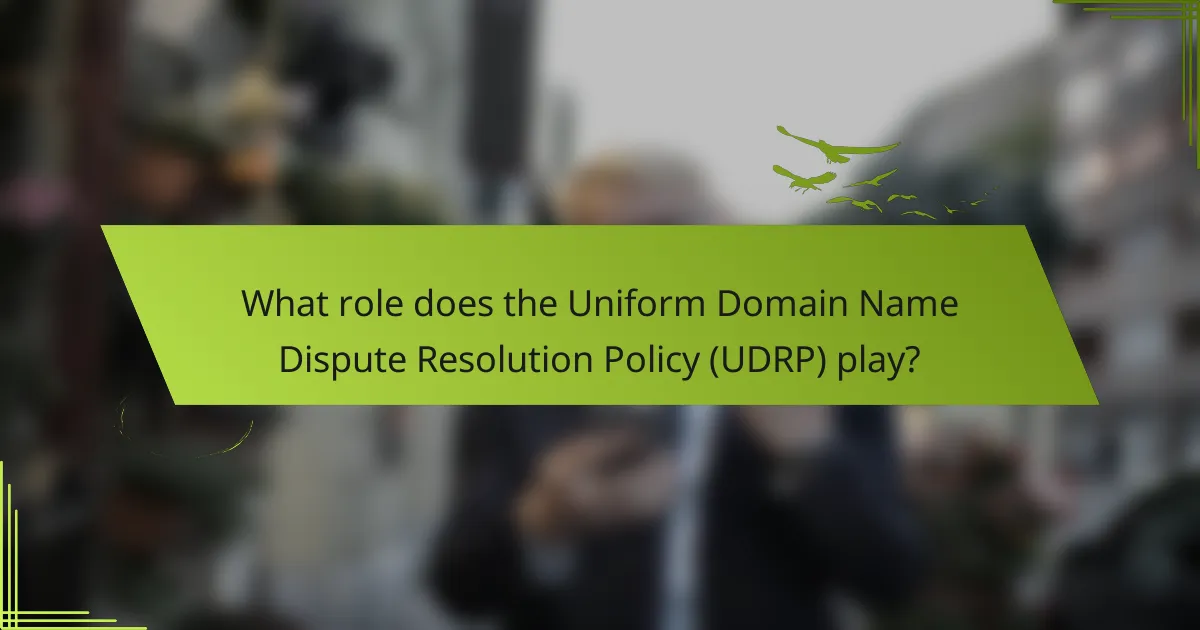 What role does the Uniform Domain Name Dispute Resolution Policy (UDRP) play?